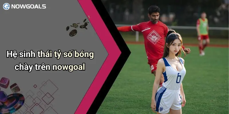 Hệ sinh thái tỷ số bóng chày trên nowgoal
