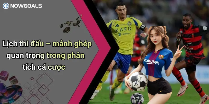 Lịch thi đấu – mảnh ghép quan trọng trong phân tích cá cược