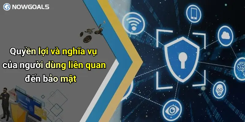 Quyền lợi và nghĩa vụ của người dùng liên quan đến bảo mật