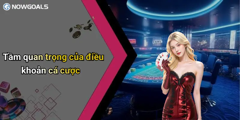 Tầm quan trọng của điều khoản cá cược