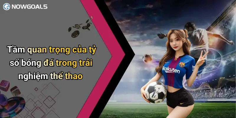 Tầm quan trọng của tỷ số bóng đá trong trải nghiệm thể thao