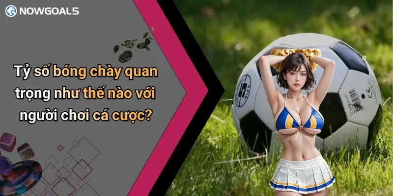 Tỷ số bóng chày quan trọng như thế nào với người chơi cá cược?