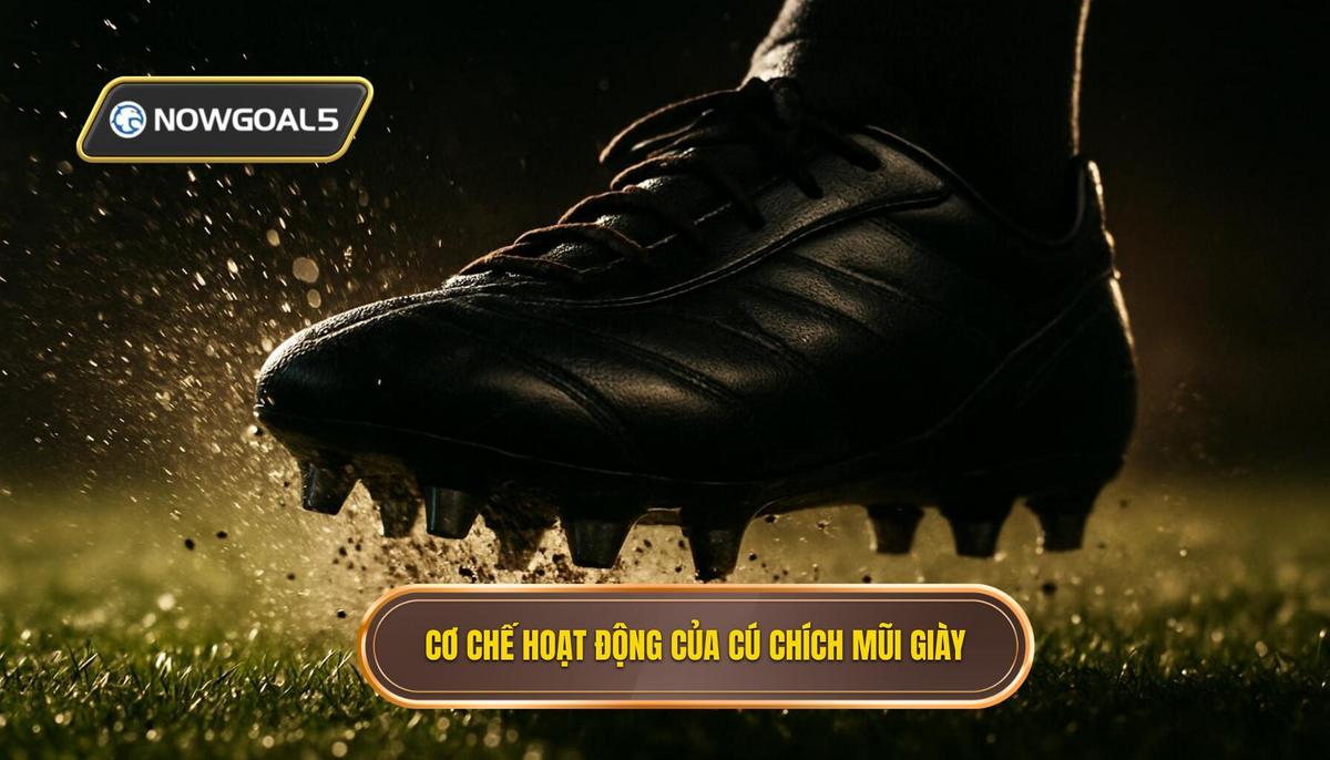 Bản chất và cơ chế hoạt động của cú chích mũi giày