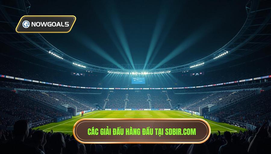 Khám phá các giải đấu hàng đầu tại sdbir.com Khám phá các giải đấu hàng đầu tại sdbir.com